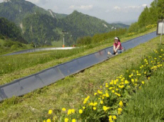 PALENICA Gipfel mit einer Sesselseilbahn und drei Skiliften